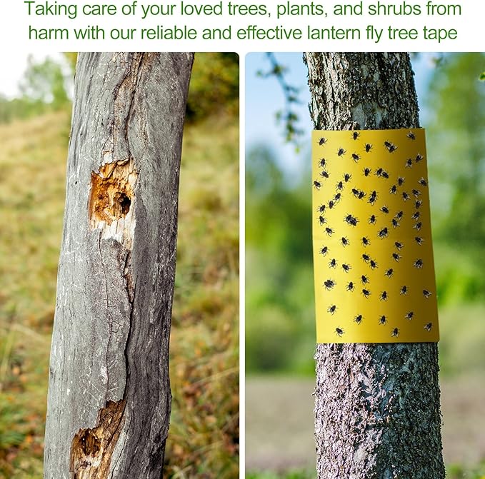 4 Rolls 260ft Lantern Fly Tree Tape Outdoor Adhesive Crawling Insect Trap Yellow Sticky Traps Sticky Barrier Protecting Trees Outdoor Indoor Fruit Tree Lawn Garden Control Aphids Ant Moth