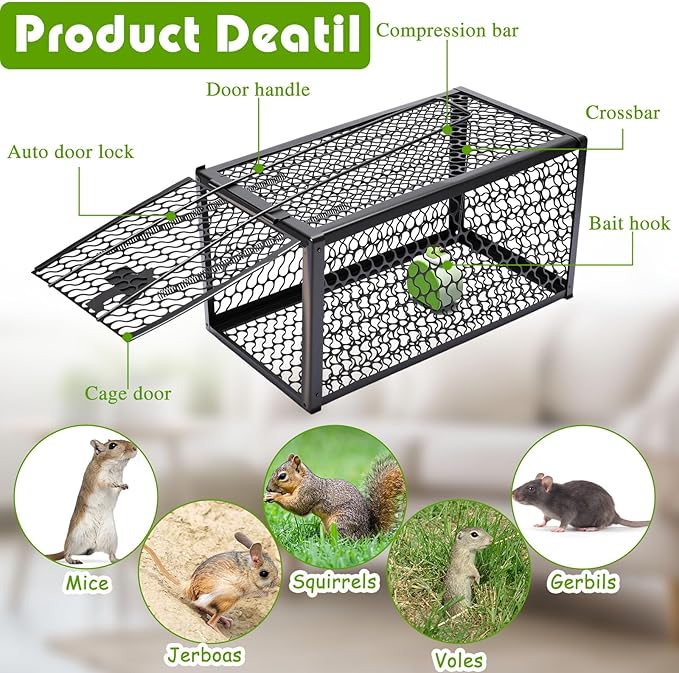 Qualirey 2 Pcs Humane Rat Trap Chipmunk Rodent Mouse Squirrel Trap 11 x 6 x 6 Inches Small Live Animal Mouse Voles Hamsters Live Cage Rat Cage for Mice Easy to Catch and Release, Black
