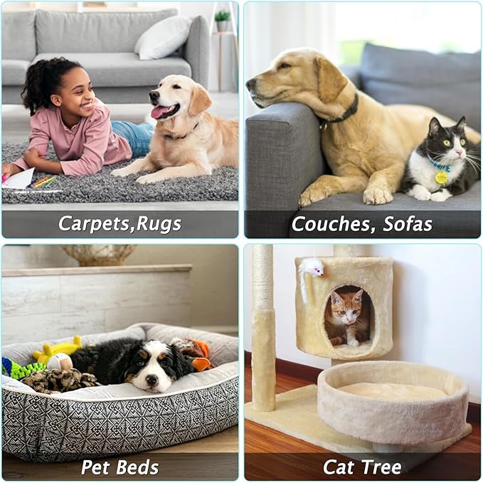 Eaersan Carpet Rake for Pet Hair Removal - Reusable Pet Hair Remover, 45” Adjustable Long Handle Cat Dog Carpet Rake Scraper with Patented Design, Dog Hair Rake Brush for Rugs, Mats