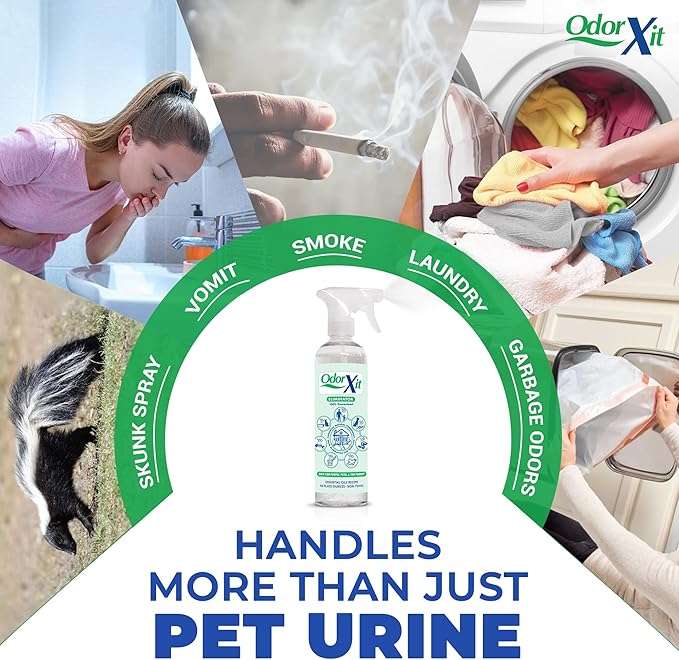 Pet Urine Odor Eliminator Spray, Ideal for Cat, Dog Poo and Urine Smell, Versatile & Natural Odor Neutralizer for Home and Outdoor Use, Ready to Use, 16oz