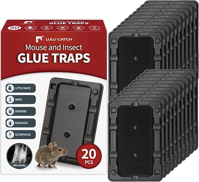 LULUCATCH Mouse & Insect Traps 20 Pack, Heavier Sticky Traps with Non-Toxic Glue for Small Mice & Insects. Sticky Mouse Traps Indoor for Home, Easy to Set