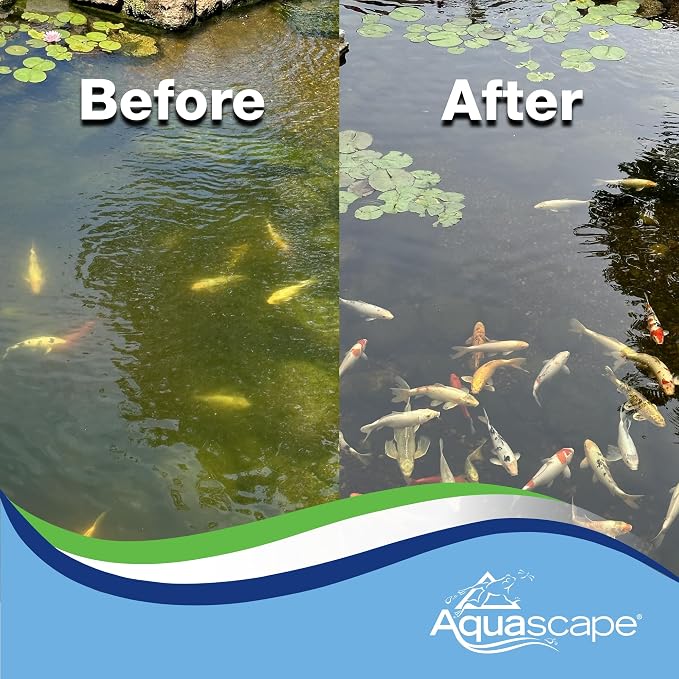 Aquascape Algaecide for Pond, Waterfall, and Water Features, 32-Ounce, 96024