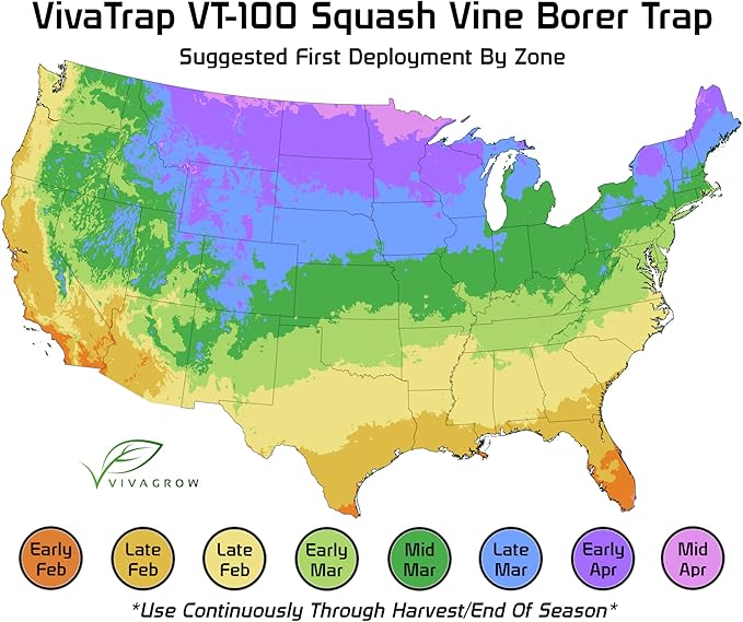 VivaTrap VT-100 Squash Vine Borer Moth Trap & Lure (2 Pack, 8 Week)