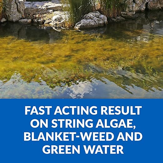 CrystalClear Algae D-Solv EPA Registered Pond Algaecide, 16 oz | Fast-Acting algae control for fountains & outdoor ponds containing koi & other fish, 16 oz treats 5,760 gallons.