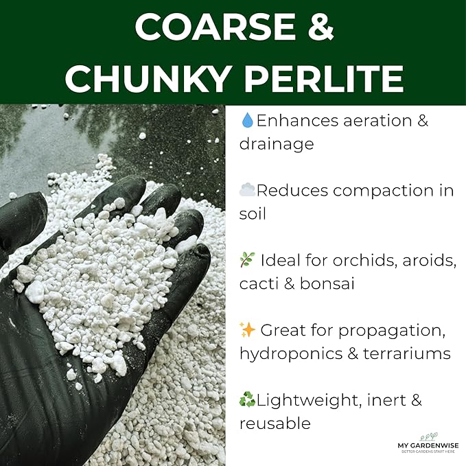 GARDENWISE Perlite for Plants, Coarse and Chunky Horticultural Perlite, Organic Perlite for Gardening Indoor & Outdoor, Perlite Bulk Bag, Made in USA (30 quarts)