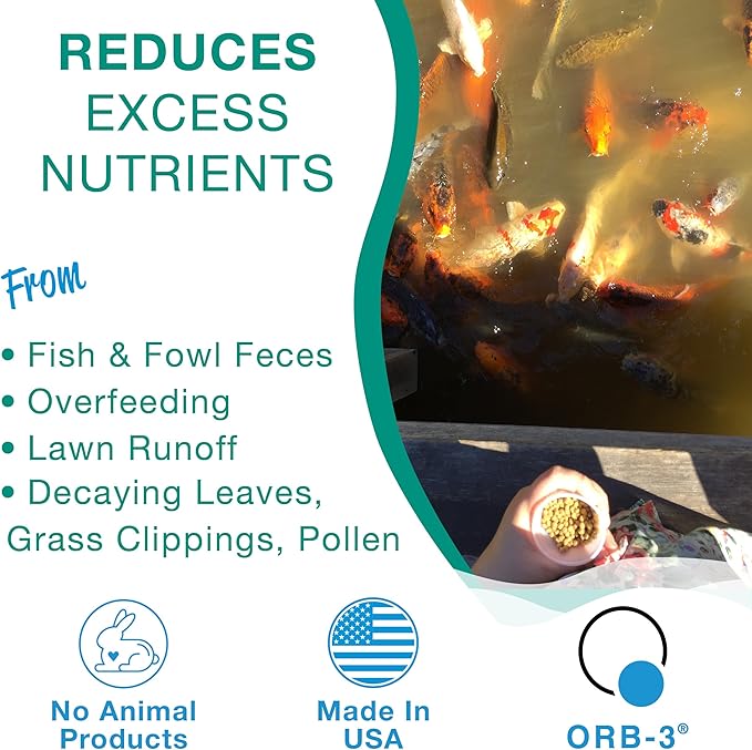 Orb-3 Lake and Pond Enzymes Jug, 1-Gallon