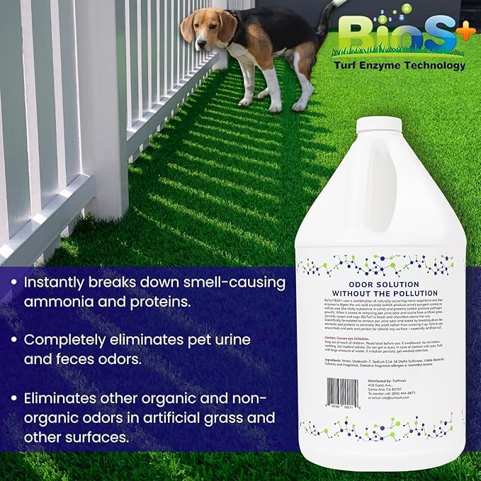 BioTurf BioS+ Kit Turf Cleaner for Pet Urine Outdoor – Artificial Turf Cleaner Concentrate Yard Deodorizer for Dog Urine & Feces – Enzyme Kennel Odor Eliminator 1 Gallon, 32oz with Hose Attachment