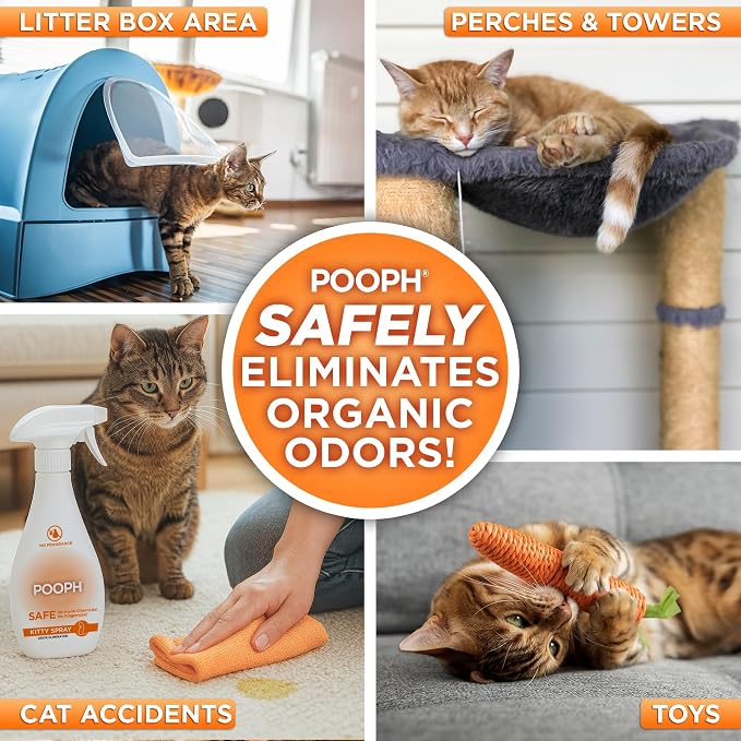 POOPH® Kitty Odor Eliminator – 32 fl oz Bottle – Proprietary Odor Elimination Technology Works On Contact – Cat Trees, Toys, Furniture, Bedding – No Fragrances, No Harsh Chemicals, Safe & Non Toxic
