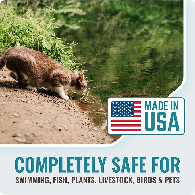 Pond Clear Water Treatment - 16 Pack for 8 Months of Pond Cleaner Supply - Pond Clarifier for Outdoor Ponds – 100% Natural Pond Bacteria Packets - Made in The USA - Safe for Fish, Pets, and Swimming