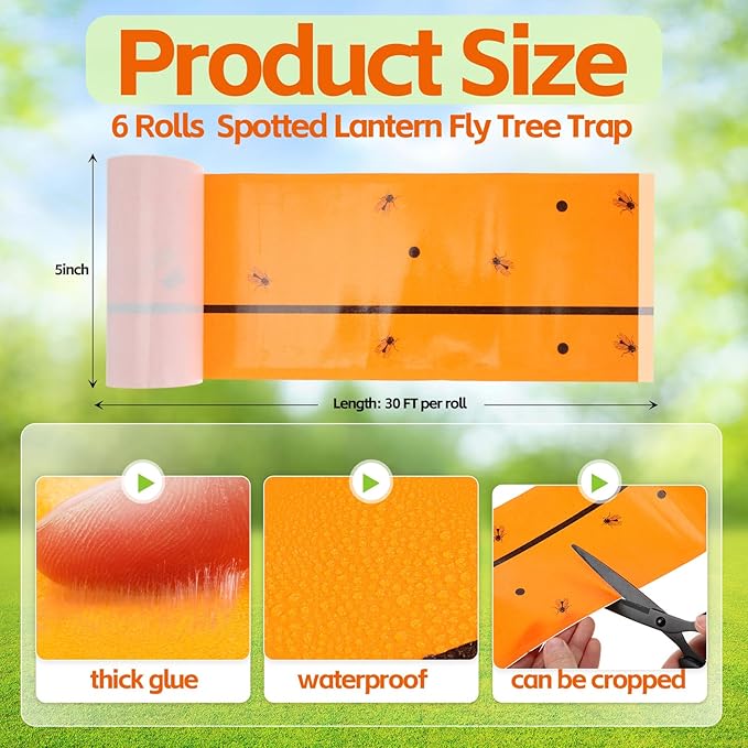Qualirey 6 Rolls Spotted Lantern Fly Traps 30 Feet Each Roll Fly Tree Trap Sticky Strips Outdoor Fruit Glue Strips Disposable Tape Indoor Paper Sheets for Protecting Trees (Orange)