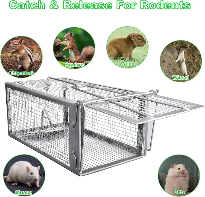 Humane Rat Traps, No Kill Small Animal Cage Trap, Live Mouse Trap Cage Catch and Release, Trampa para Ratones, Chipmunk Rodent Trap that Work for Indoor and Outdoor - 12.3" L x 6.5" W x 5.3" H