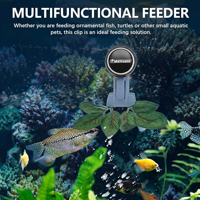 Blulu 4 Pcs Magnetic Seaweed Feeding Clips Saltwater Aquarium Tank Accessories Algae Magnet Seaweed Feeder for Fish and Aquatic Pets, Automatic Fish Feeder