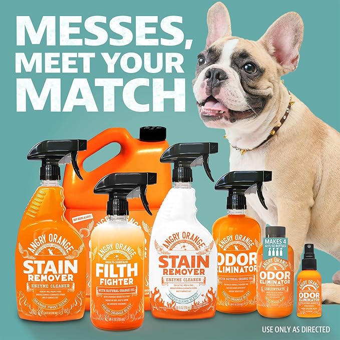 ANGRY ORANGE Hardwood Floor Cleaner - No-Rinse, Pet-Safe, Residue Free Multi-surface Cleaning Solution for Pet Urine, Grime & Everyday Dirt - Made in USA - Citrus Mint - 32 oz - Value 2 Pack