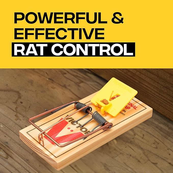 Victor M205 Wide Pedal Humane Snap Rat Traps Indoor for Home, Plastic Pedal, Sustainably Sourced FSC Wood - 12 Wooden Traps