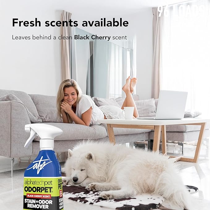 OdorPet Pet Stain Remover and Odor Eliminator - 16 Oz Ready To Use Spray, Non Staining, Professional Strength, Black Cherry Scent by Alpha Tech Pet