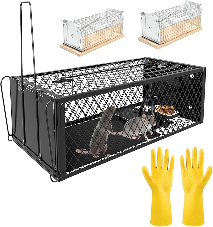 Humane Rat Traps - Large 12.5 Inches Upgraded Mouse Trap for Outdoors & Indoors - Reusable Rat Trap Cage for Mouse and Small Animals - Effective Quick Simple to Use (3-Pack)