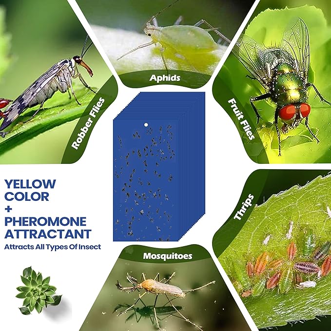 Qualirey 100 Pcs 7.87 x 3.9 Inch Blue Sticky Traps for Thrips Double Sided Sticky Trap for Gnats Plant,Thrips, Aphids, and Black Flies with Twist Ties,Indoor and Outdoor