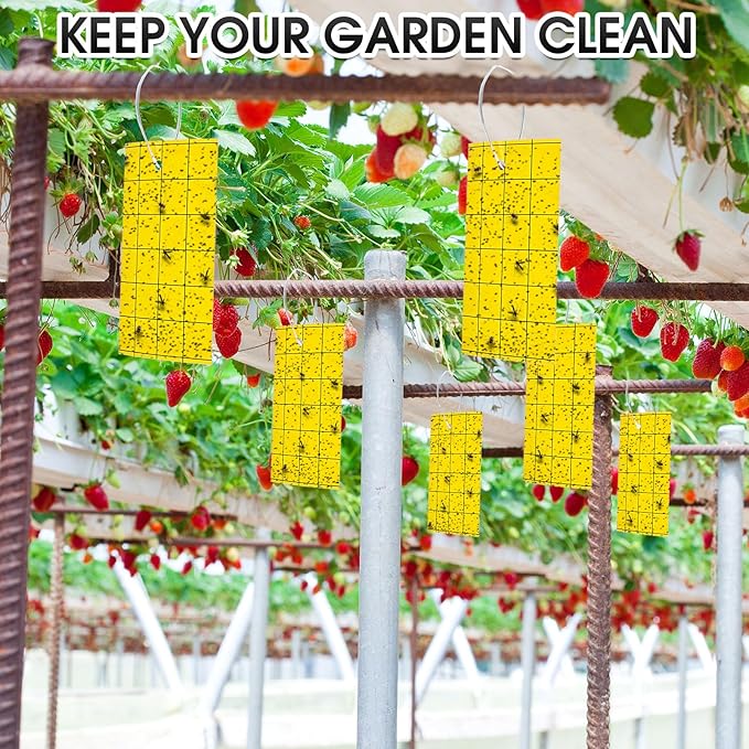 Qualirey 600 Pcs Sticky Trap for Gnats 3 x 5'' Dual Side Sticky Fruit Fly Trap with Tie Plant for Flying Insect Fungus Bugs Flying Catcher for Indoor (Yellow)