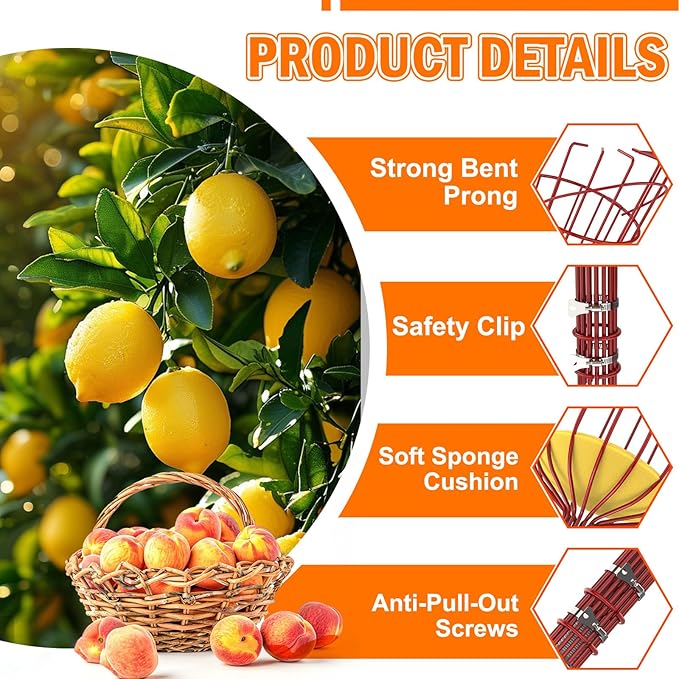 LAANPOLE 20FT Reach Fruit Picker Pole with Basket Telescoping, Apple Picker with 3-12FT Telescoping Pole for Apple Orange Lemon Mango Avocado Guava Fruit Picking
