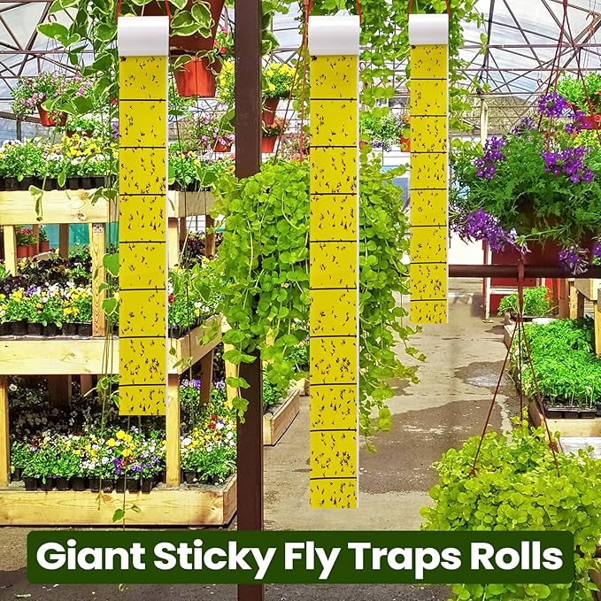 Qualirey Giant Sticky Fly Traps, Fly Strips for Indoor Outdoor Hanging Flying Tapes Non Toxic Ribbon Fruit Gnat Killer for Mosquito Plants House Horse Stable(23 ft,Yellow,30 Pcs)