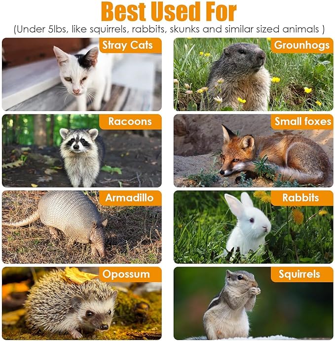 Live Animal Trap Cage Humane Collapsible Cat Trap Cage 1-Door Folding Skunk Traps for Catch and Release Small Raccoons Beavers Squirrel Groundhogs Cats Armadillos Skunks