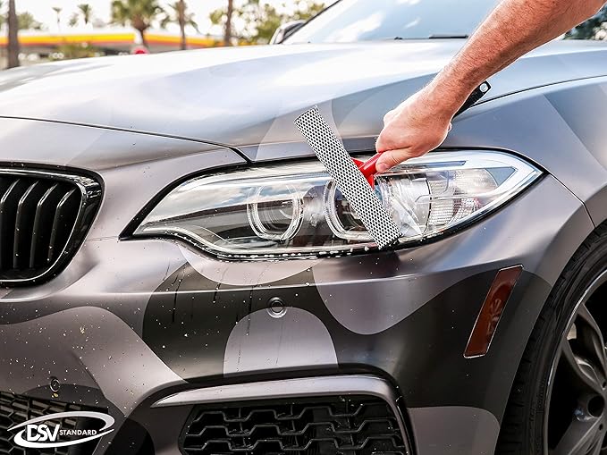 DSV Standard Window Squeegee 8'' and Car Wash Brush 10''