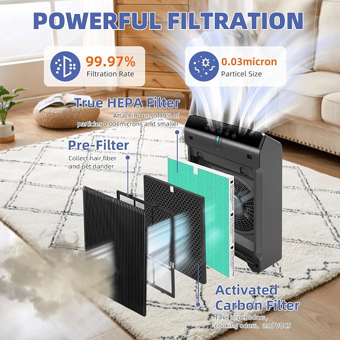 5510 5520 5530 HEPA Toxin Absorbe Air Purifier Filter Q Replacement for Winix 5510 5520 5530 Plasmawave Air Purifier H13 True HEPA Carbon Filter,# 1712-0123-00,2 Combon Set
