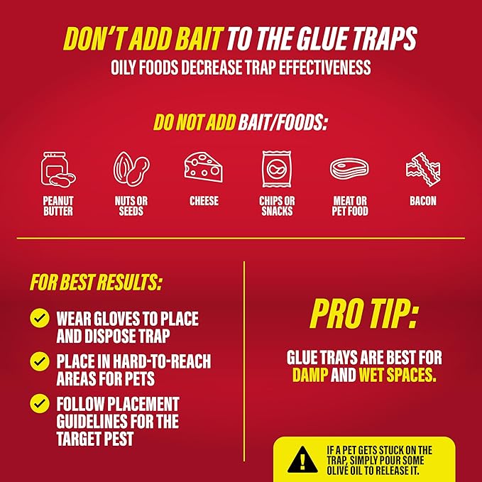 Catchmaster Rat & Mouse Glue Traps with Sticky Putty 2Pk, Large Bulk Glue Board, Rat & Mouse Traps Indoor for Home, Adhesive Plastic Tray for Snakes, Mice & Spiders, Pest Control for House & Garage