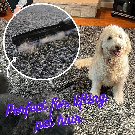 Room Groom Carpet Rake and Groomer with 48" Fiberglass Handle, Carpet Brush Ideal for Pet Hair, Refreshing High Pile Carpets, Rugs, and Artificial Turf