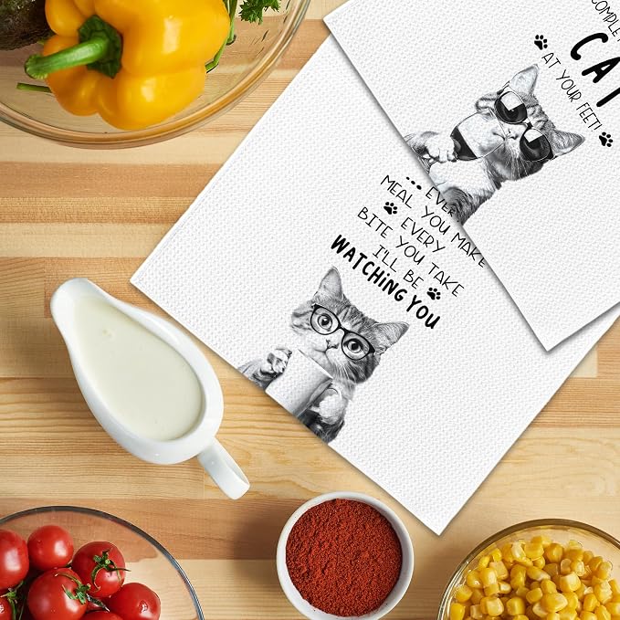 Funny Cat Kitchen Towels 16x24 Inch Set of 2 | Cat Mom Dad Lady Lovers Gifts for Women Men Dish Tea Towels for Kitchen, Pet Lover Gifts Decorative Hand Towel
