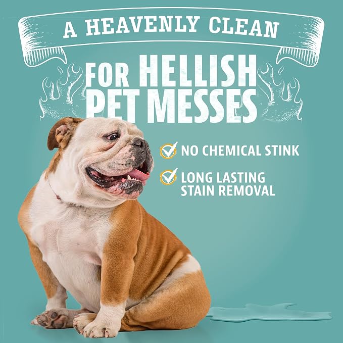 ANGRY ORANGE 1 Gallon Enzyme Cleaner and Deodorizer, Pet Stain and Odor Remover for Dog & Cat Urine and Stains - Citrus, Made in USA