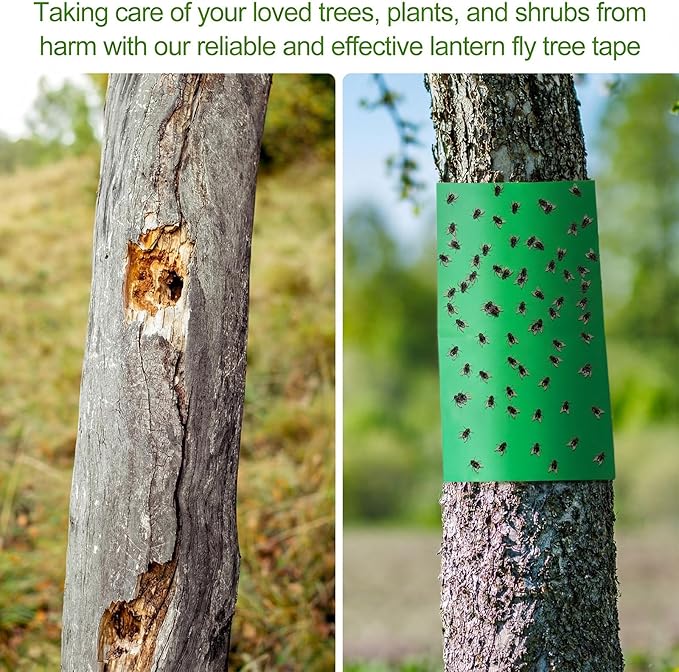 4 Rolls 260ft Lantern Fly Tree Tape Outdoor Adhesive Crawling Insect Trap Sticky Traps Sticky Barrier Protecting Trees Outdoor Indoor Fruit Tree Lawn Garden Control Aphids Ant Moth (Green)