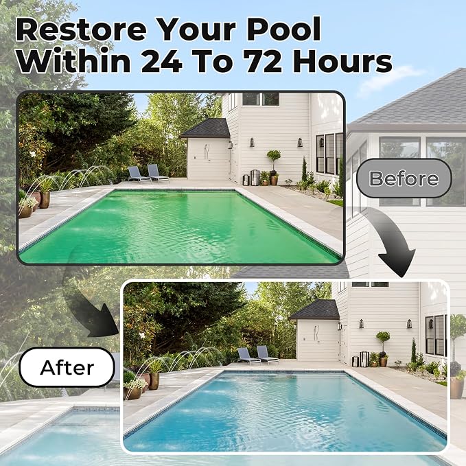 Pool Cartridge 20K-30k Gallons for Above Ground and In Ground Swimming Pools (Black and White)