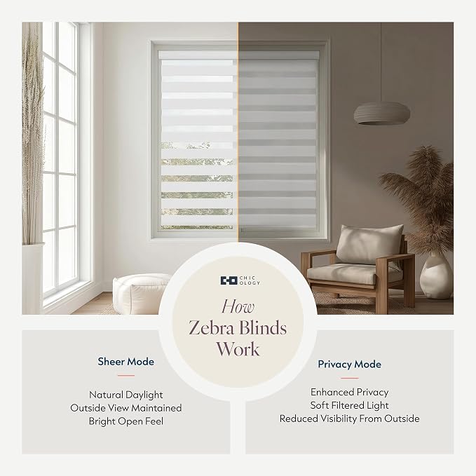 CHICOLOGY Zebra Blinds Cordless Window Shades, Dual Layer Light Filtering Roller Shades for Windows, Sheer Privacy Striped Fabric, Easy Install, 31.5" W x 72" H, Basic Arctic