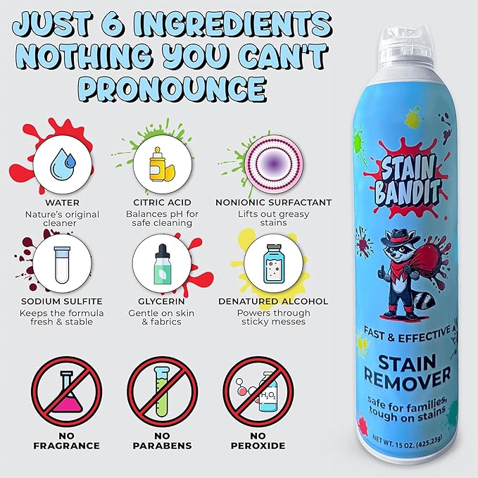 Stain Remover Spray | Non-Toxic Stain Remover Family Safe Formula | Bag-On-Valve 360° Continuous Spray Bottle | Cleaner for Clothes, Upholstery, Carpet & Car Seats 15 Oz, (Pack of 1)