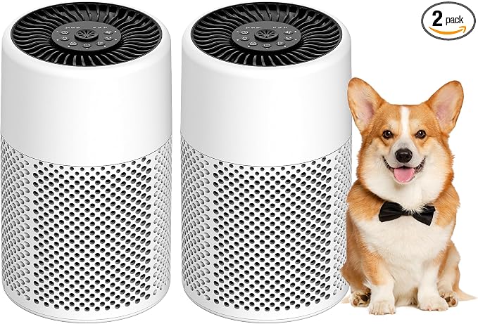 2 Pack Air Purifiers for Bedroom Home, True HEPA Filter for Dust, Smoke, Pet Dander, Small Air Purifier with Sleep Mode for Bedroom Office, Night Light Quiet 24dB, Fragrance Sponge, White