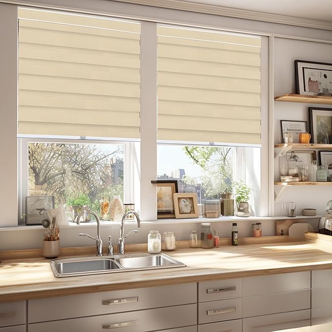 CHICOLOGY Zebra Blinds, Roller Window Shades, Blinds for Windows, Roller Shades for Windows, Window Shades for Home, Window Shades, Pull Down Shades for Windows, 25" W X 72" H, Basic Pearl