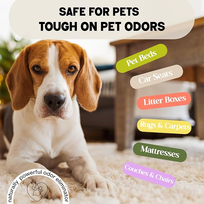 Carpet Deodorizer & Freshener Powder, Lemon + Mint, Shakers 16 oz | 2 Pack, Pet Odor Eliminator for Strong Odors & Pet Urine, Safe for Homes with Pets, Made in USA