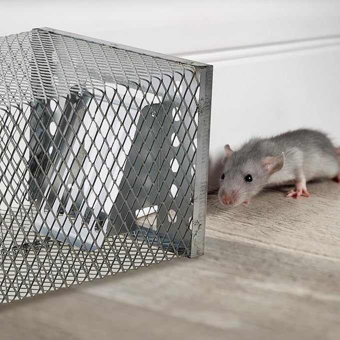 2 Pcs Humane Rat Trap Live Chipmunk Cage Trap for Indoor and Outdoor Small Rodent Animal Mouse Vole Chipmunk Hamsters Live Cage, Catch and Release (Closed)