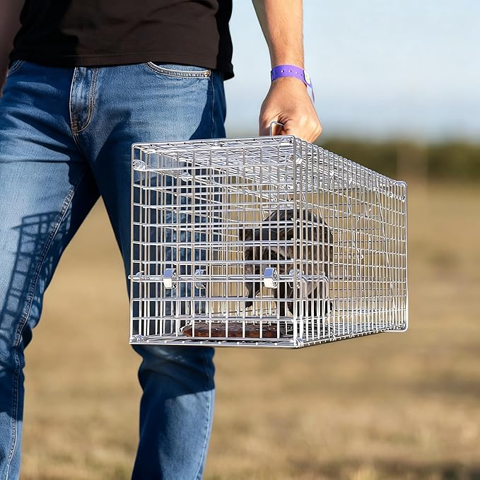 Live Humane Animal Trap Cage Cat Trap Folding Catch and Release for Raccoons Opossums Skunks Feral Cats Squirrels Rabbit 25.59Inch