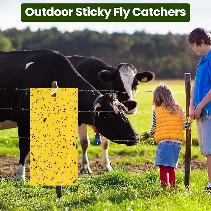 Qualirey 9.8 x 5.9 Inch Large Yellow Sticky Traps for Plant Double Sided Sticky Trap for Gnats with Twist Ties Fly Traps for Fruit Insect Fungus Bugs Indoor Outdoor (150 Pcs)