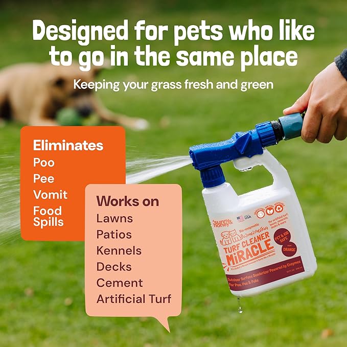 Sunny & Honey Turf Cleaner for Pet Urine Outdoors, 32 fl oz Orange | Enzymatic Yard Deodorizer for Dog Urine and Poop - For Artificial Grass and Decks - Pet and Plant Safe - Brightens Patios
