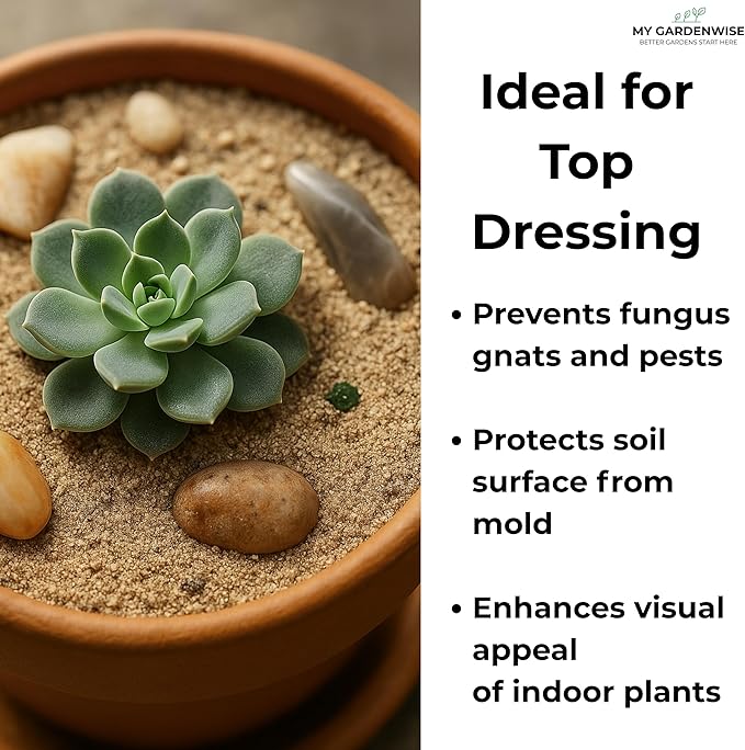 GARDENWISE Fine Sand for Plants – Horticultural Sand for Succulents, Cactus, Potting Mixes, Terrariums & Decorative Indoor Gardens, Made in USA (3 quarts - 8.4 lbs)