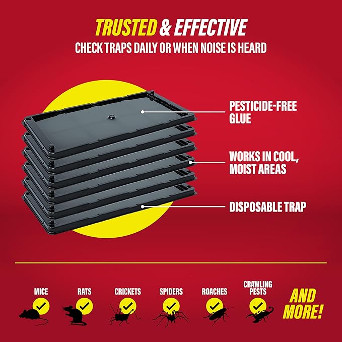 Catchmaster Rat, Snake and Mouse Traps 6Pk, Large Bulk Glue Rat Traps for Home, Adhesive Plastic Tray for Inside House, Snake, Mice, & Spider Catcher, Pest Control for House & Garage