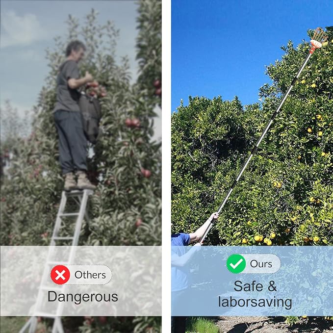 Walensee 13FT Fruit Picker Pole with Basket, 35-158 Inch Adjustable Mango Picker Tool, Stainless Steel Telescoping Cherry Picker for Tree, Apple Pear Lemon Orange Avocado Picking