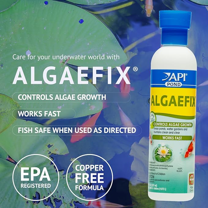 API POND ALGAEFIX (16 fl oz) Pond Algae Control - Copper Free - Clean, Clear Water - Up to 4800 Gallons - Safe for Fish & Plants - Water Gardens, Fountains - Natural Active Ingredient - EPA-Registered