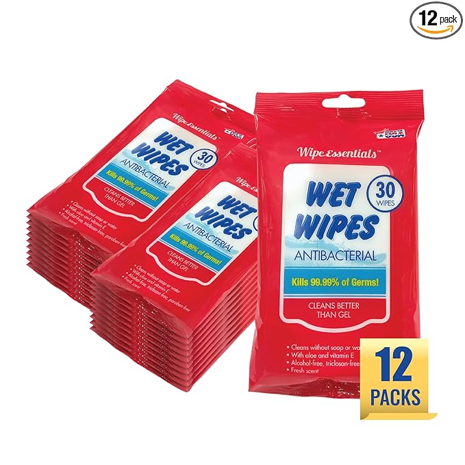 WipeEssentials Hand Sanitizer Wipes for Adults & Kids - 360 Count, 12 Packs | Alcohol-Free, Moisturizing Sanitizing Wipes with Aloe Vera & Vitamin E - Unscented & Travel Size With No Soapy Residue