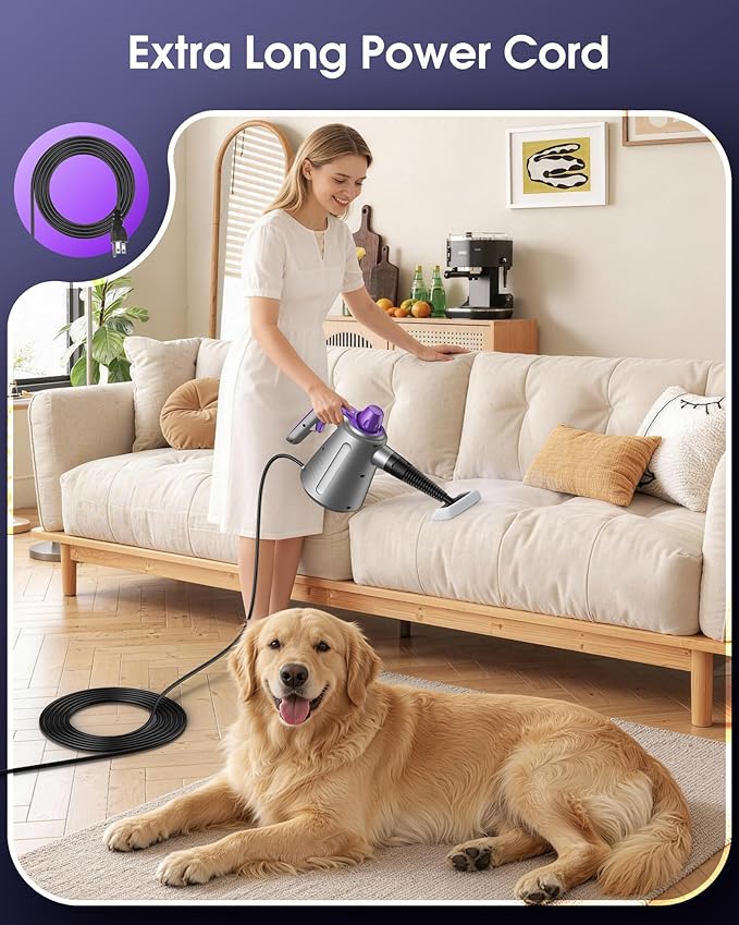 Handheld Steam Cleaner for Home, Pressurized Multi Purpose Steamer for Cleaning Upholstery Bed Furniture Couch Carpet Car with 14 Accessories & Safety Lock, Small Solution Tank for Grease