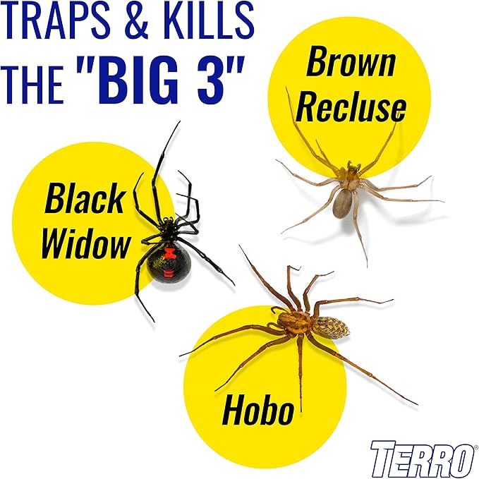 TERRO Spider & Insect Trap T3206-10 - Pack of 10 Insect Traps