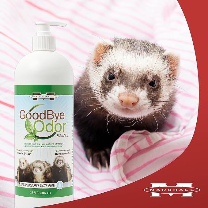 MP FERRET BI ODOR INTERNL 32OZ